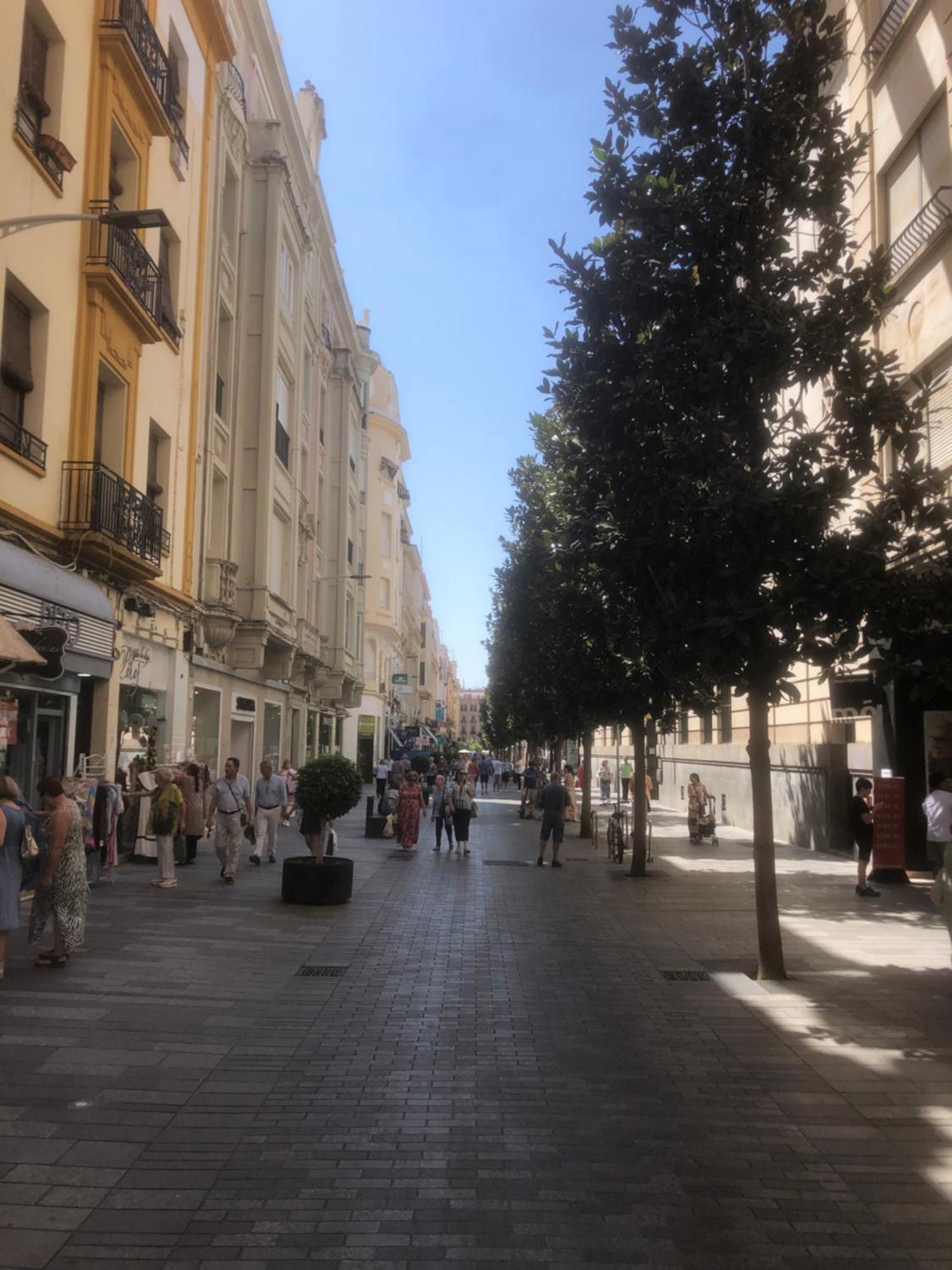 Apartamento En El Centro Totalmente Climatizado, Parking Gratuito Córdoba Buitenkant foto
